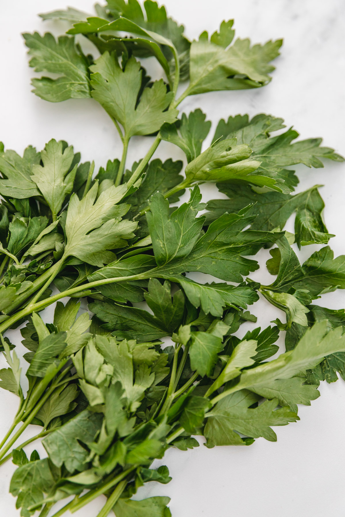 A close up of fresh parsley leaves set on a white surface.
